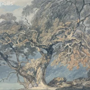 J.M.W. Turner, A Great Tree 1796 captured as a high-quality fine art print reproduction.